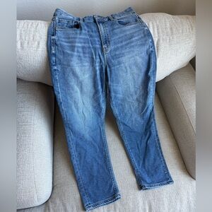 American Eagle Outfitters Curve Mom Jean SHORT